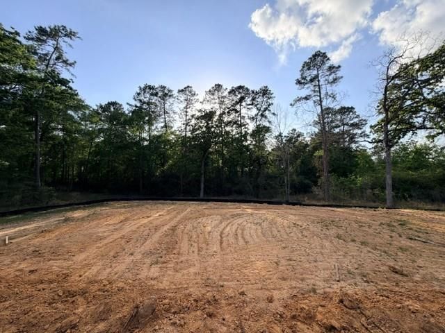 323 Louvenia Court, Pinehurst, TX 77362