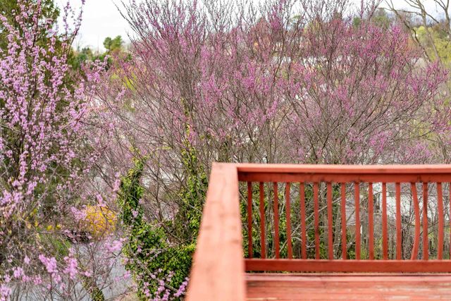 1000 SELMA BLVD, Staunton, VA 24401