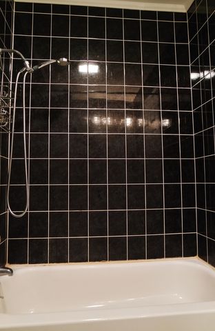 10369 DEARLOVE Road 2F, Glenview, IL 60025