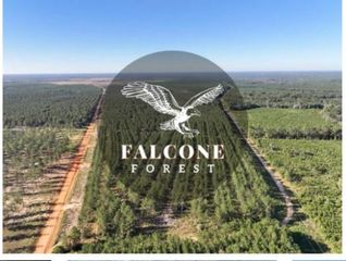 0 Richardson Road, Livingston, TX 77351