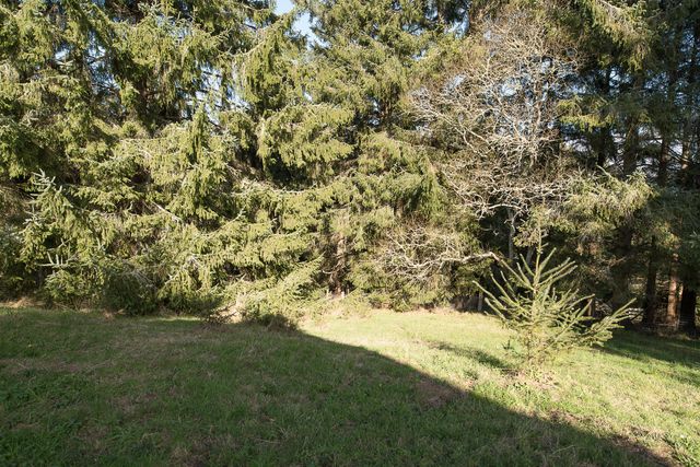 0000 Worthington Drive, Humboldt Hill, CA 95503