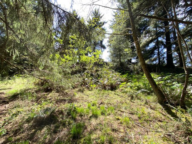 0000 Worthington Drive, Humboldt Hill, CA 95503