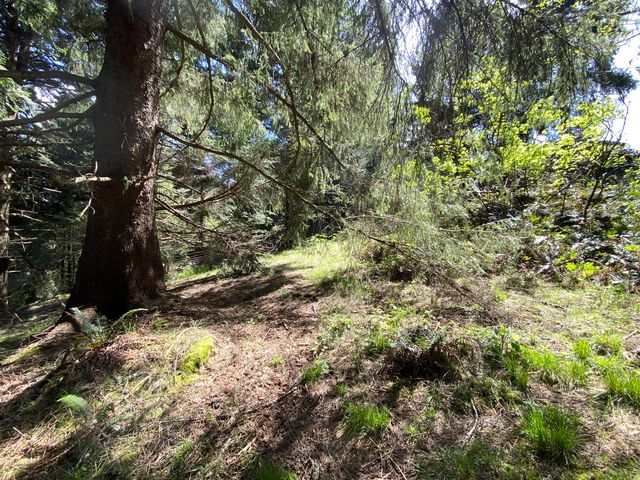 0000 Worthington Drive, Humboldt Hill, CA 95503