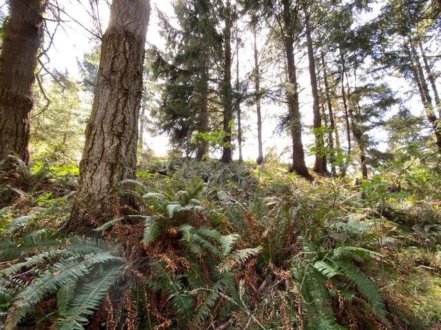 0000 Worthington Drive, Humboldt Hill, CA 95503
