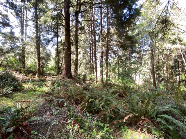 0000 Worthington Drive, Humboldt Hill, CA 95503