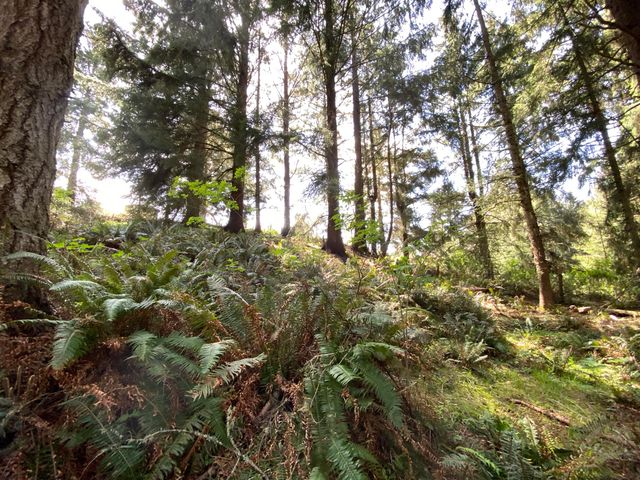 0000 Worthington Drive, Humboldt Hill, CA 95503