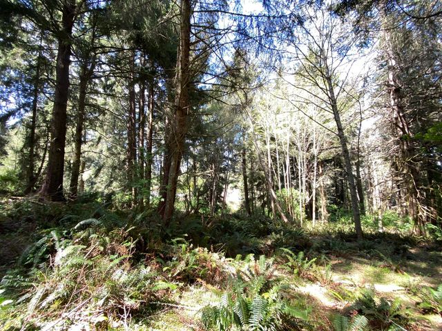 0000 Worthington Drive, Humboldt Hill, CA 95503