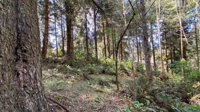 0000 Worthington Drive, Humboldt Hill, CA 95503