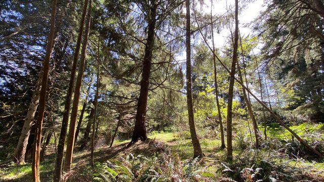 0000 Worthington Drive, Humboldt Hill, CA 95503