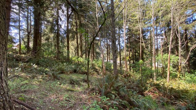 0000 Worthington Drive, Humboldt Hill, CA 95503