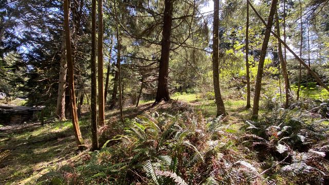 0000 Worthington Drive, Humboldt Hill, CA 95503