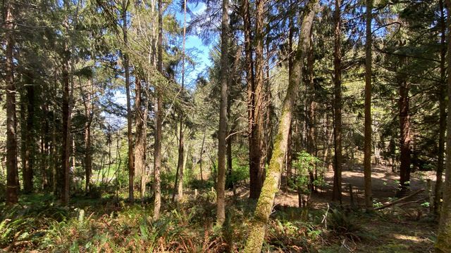 0000 Worthington Drive, Humboldt Hill, CA 95503