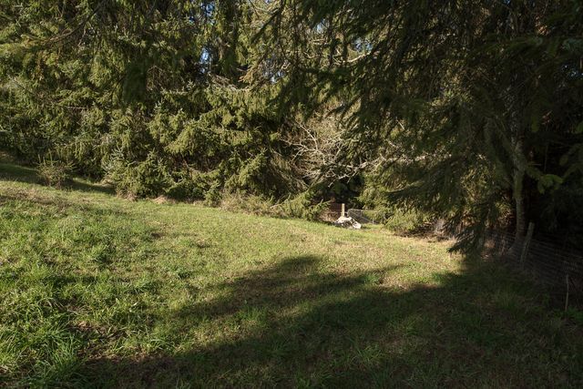 0000 Worthington Drive, Humboldt Hill, CA 95503