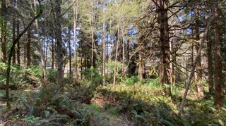 0000 Worthington Drive, Humboldt Hill, CA 95503