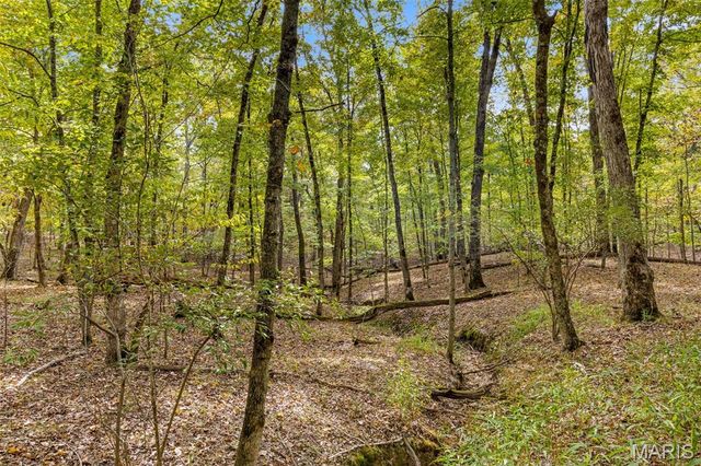 2142 Meadow Valley Drive, Innsbrook, MO 63390