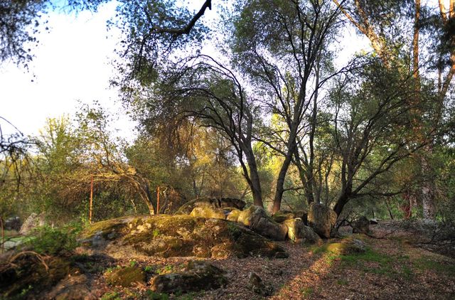 45695 Lauri Lane, Oakhurst, CA 93644