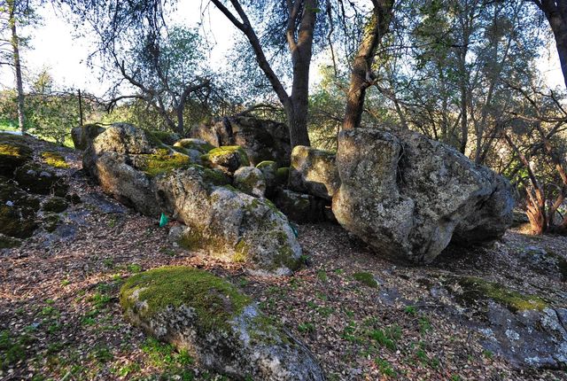 45695 Lauri Lane, Oakhurst, CA 93644