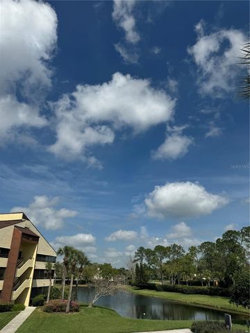 13608 S VILLAGE DRIVE 8203, Tampa, FL 33618