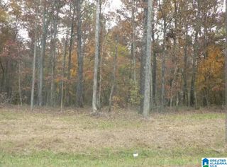 00000 COUNTRY MANOR DRIVE, Sterrett, AL 35147