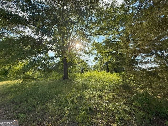 444 E Railroad Street, Bowman, GA 30624