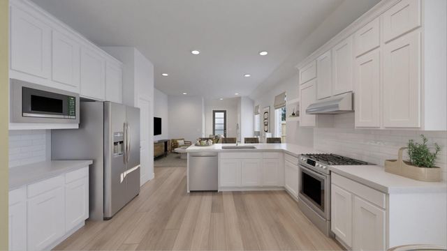 19602 San Severino Drive, Hockley, TX 77447