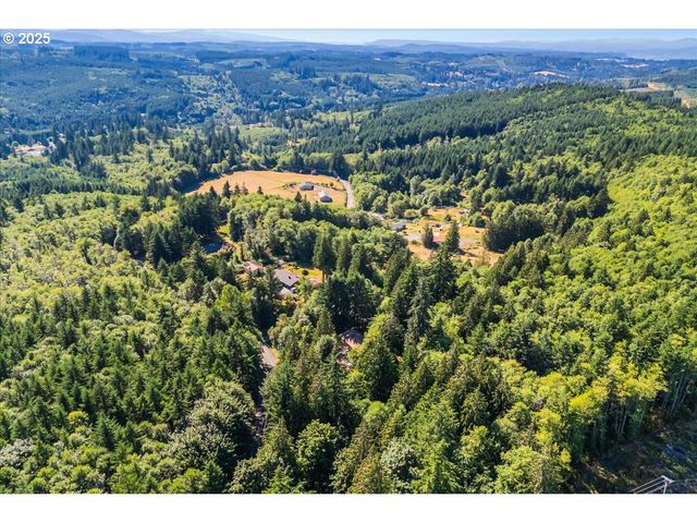 31150 BROWNLEE Rd, Rainier, OR 97048