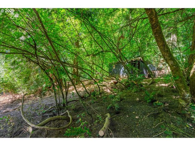 31150 BROWNLEE Rd, Rainier, OR 97048