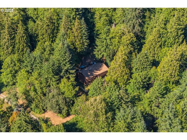 31150 BROWNLEE Rd, Rainier, OR 97048