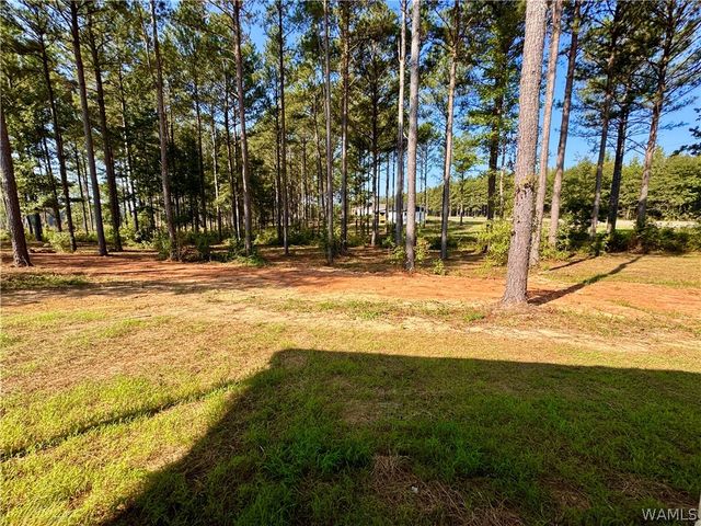 18742 Stormi, Berry, AL 35546