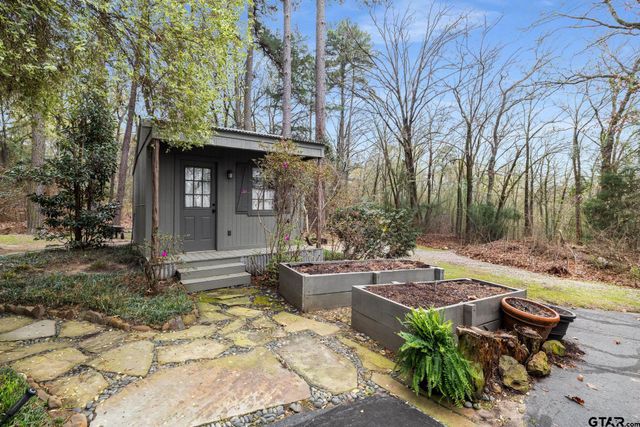 249 South Shore Dr, Scroggins, TX 75480