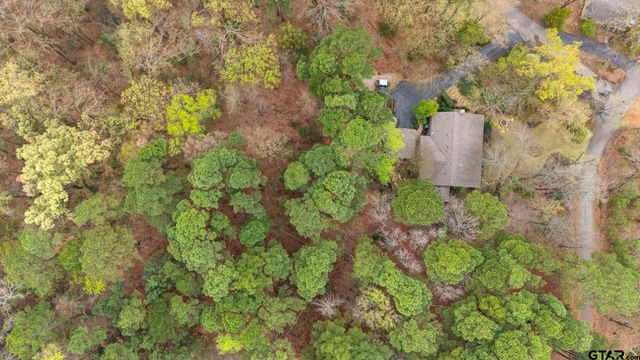 249 South Shore Dr, Scroggins, TX 75480