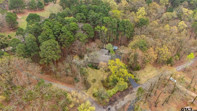 249 South Shore Dr, Scroggins, TX 75480