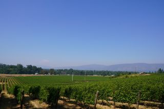 2789 Holland Loop Road, Cave Junction, OR 97523