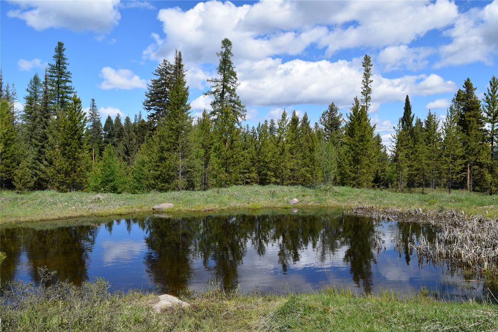 818 Beaver Creek Road, Seeley Lake, MT 59868 photo 2