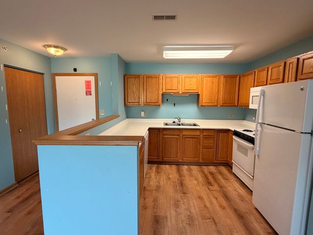 801 N McLean Boulevard 308, Elgin, IL 60123