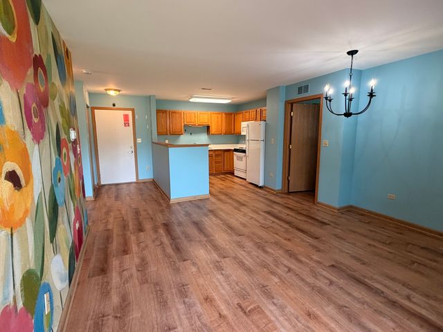 801 N McLean Boulevard 308, Elgin, IL 60123
