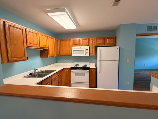 801 N McLean Boulevard 308, Elgin, IL 60123