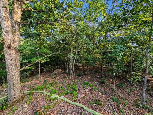 13 Pentland Drive, Bella Vista, AR 72715