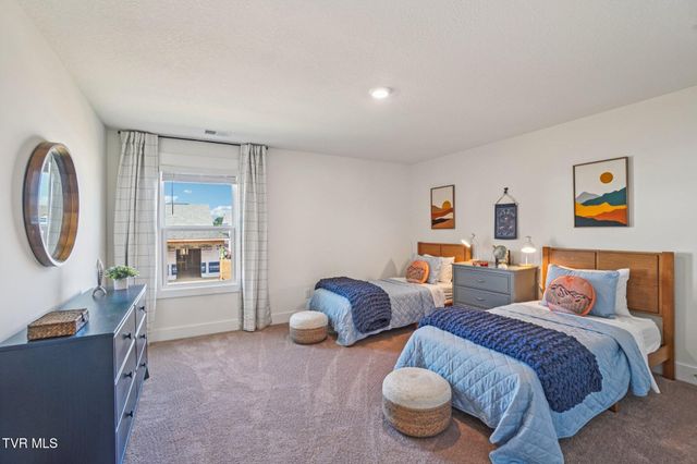 284 Chimney View Loop, Blountville, TN 37617