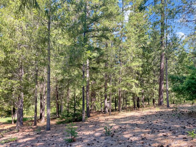 19623 Casa Loma, Grass Valley, CA 95945