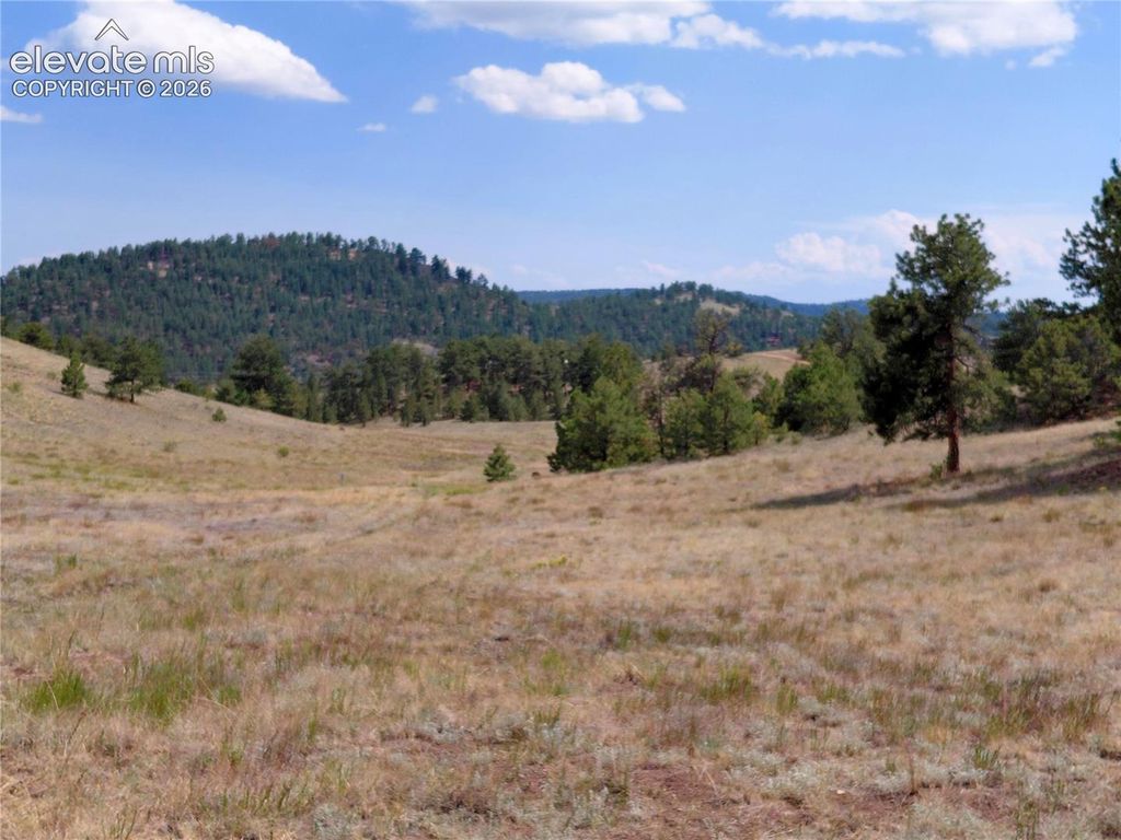 Tract 70 Owls Nest Road, Guffey, CO 80820 — exterior