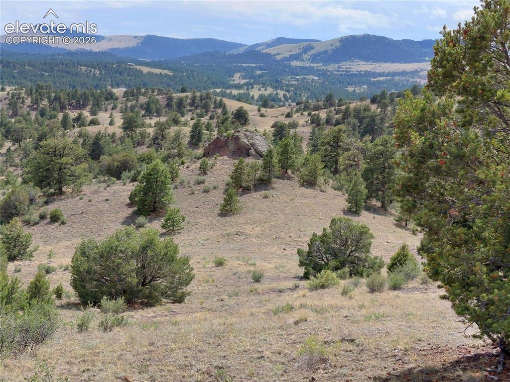 Tract 70 Owls Nest Road, Guffey, CO 80820 — photo 2