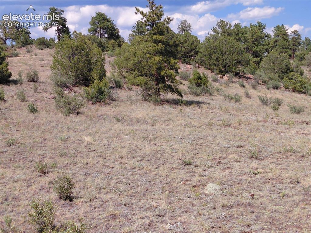 Tract 70 Owls Nest Road, Guffey, CO 80820 — photo 3