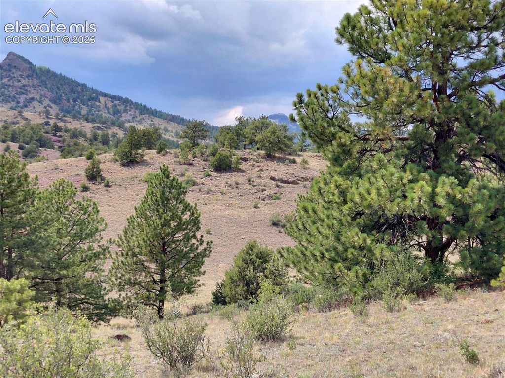 Tract 70 Owls Nest Road, Guffey, CO 80820 — photo 4