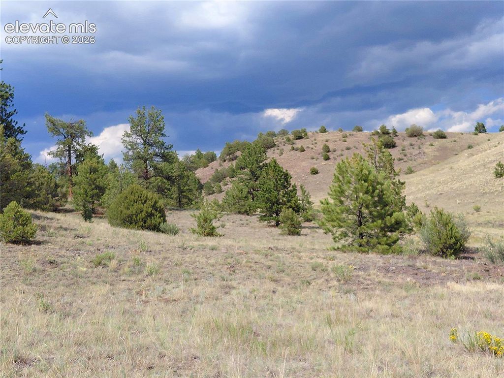 Tract 70 Owls Nest Road, Guffey, CO 80820 — photo 5