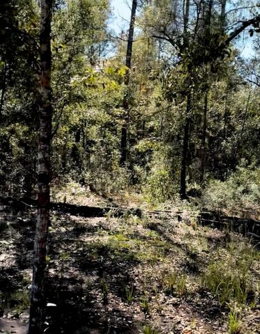 10345 Nikolich Ave, Hastings, FL 32145