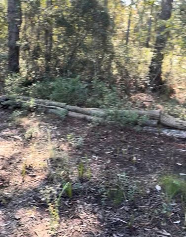 10345 Nikolich Ave, Hastings, FL 32145