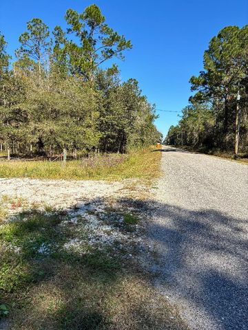 10345 Nikolich Ave, Hastings, FL 32145