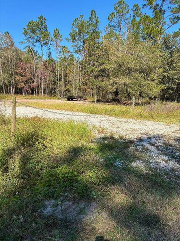 10345 Nikolich Ave, Hastings, FL 32145