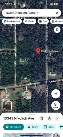 10345 Nikolich Ave, Hastings, FL 32145